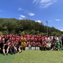 브레이크뉴스강원