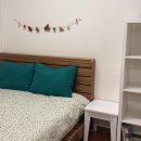 대관령 지니하우스 이미지