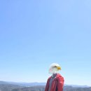 노대실로 | [광주●남구] 노대동 분적산, 초보자도 즐기는 왕복 2시간 힐링코스/2026.4.7