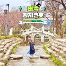 5 | 태백 기차 여행 황지연못 볼거리 주차장 관광지 비오는날