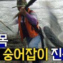 어영차 바다야 이미지