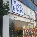 해운대 펫택시 이미지