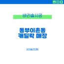 동부자동차써비스 | 동부이촌동 캐딜락 매장 브이솔라이팅 바리솔 시공 후기