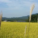 세원태양광발전소 이미지