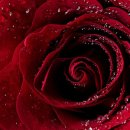 테라피 클래식 이미지