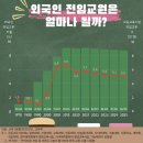 비율