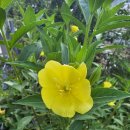 연석산&숲 | 완주 기차산 해골바위