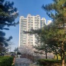 사라수변공원 이미지