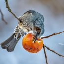 명암약수터 이미지