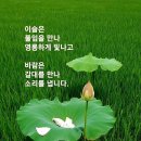 오늘뉴스중 눈에 뛰는기사는 이미지