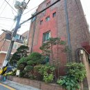 (주)넝쿨 | [공지] 강남구 청담동 빌라 화단 조경 관리, 외벽 건물 넝쿨 제거와 나무 전지 작업으로 깔끔하게 해결!