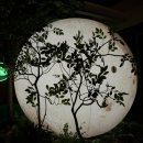 탐라포차 둔산점 이미지