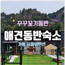 딩동댕애견스파풀빌라 이미지