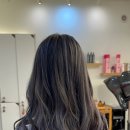 헤어볼하우스 이미지