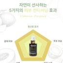 지엠메디칼 | 비타민앰플추천 광메디칼 퓨라지엠 비타민 미백 앰플