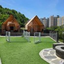 봉이화로 | 아이와 가볼만한곳 몸만 가도 완벽한 캠핑! 동탄 바베큐그라운드 내돈내산 장단점 솔직후기 ft. 애견동반