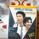 미스정양품점