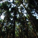 물영아리오름 이미지