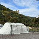 플로라 캠프 이미지