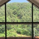 스테이우드 이미지