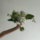 매영로 | 💍 6. 웨딩촬영 소품 준비 리스트 공유 내돈내산 후기