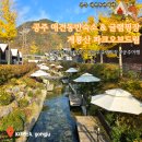 해송초 앞, 거미줄공원 맞은편 | [공주 애견동반여행] 공주 애견동반숙소 &amp; 글램핑장 계룡산 파크오브 드림, 드림동 숙박, 스타일링...