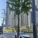 4월 26일 토익 시험 후기 및 생각 정리
