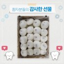 조이플란트 네이버블로그