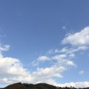 낚시여행낚시터 | [애견동반] 서울 근교 낚시터 추천 송어낚시 가족여행 방갈로 가족나들이 찐 후기