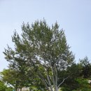 청하면농업인상담소 이미지