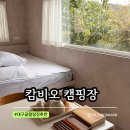 [대구] 팔공산 가족 커플 여행 가을 감성 신상 대구카라반 &#39; 캄비오 캠핑장&#39;
