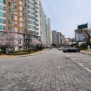 지에스25 상인월배점 이미지