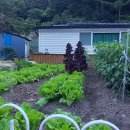 개풍농장 이미지