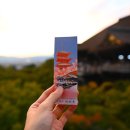 2718 | 오사카 교토 버스투어 여행한그릇 점심? 비교 겨울 가격 시간 혼자