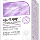 하나건강스토어