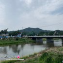 수양정 | 충남 공주 유구 색동 수국 정원 / 충남 수국 / 수국공원 / 수국동산