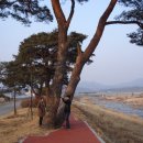 윗밤숲 Daum카페