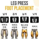 에이펙스라인 이미지