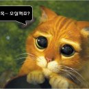 금반농장 이미지
