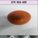 김옥순 농장 파이낸셜뉴스