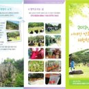 서대산약초