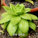 연두 - 송파구 백제고분로50길 43 | 연두