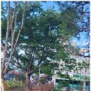 사천근린공원 이미지