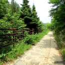 오미약수터 이미지