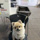 잿들 | 태안여행기록 2 [샌드힐리조트/신두리해수욕장 일출/피노카페/ 행복한아침]