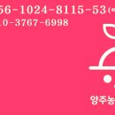 농부의꿈 네이버블로그
