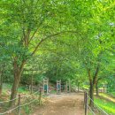 서천근린공원 이미지