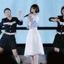 푸른산호초 이미지