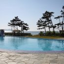 골든펜션 이미지