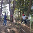 도순초등학교 이미지